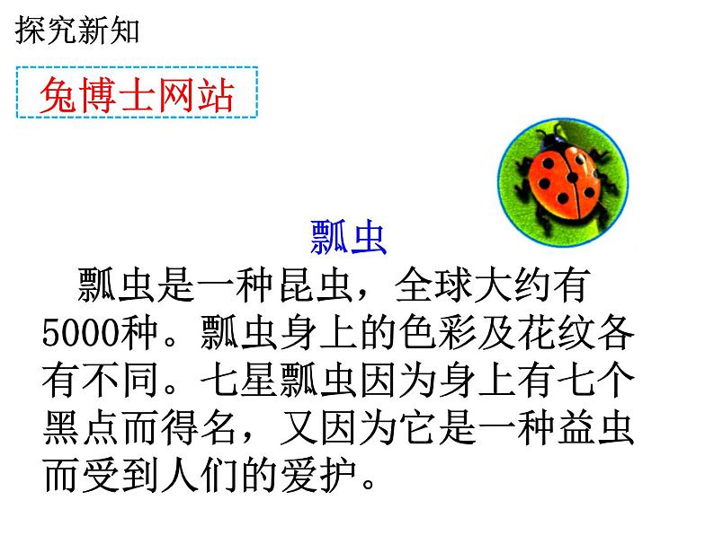 7.1《7的乘法口诀》PPT课件05