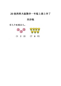 小学数学西师大版一年级上册上学了当堂检测题