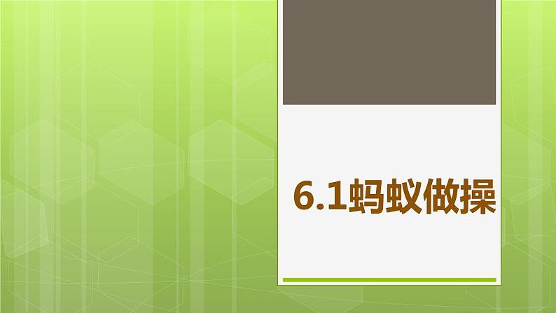 6.1 蚂蚁做操 教学课件01