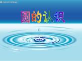 5.1 圆的认识 课件