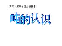 小学数学西师大版三年级上册一 克、千克、吨教课内容课件ppt