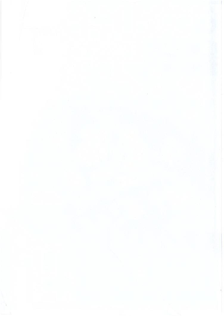 沪教版（五四学制）三年级上册电子课本2024高清PDF电子版02