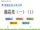 6.2《栽蒜苗（一）（1）》PPT課件 北師大版數(shù)學(xué)四下
