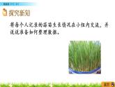 6.2《栽蒜苗（一）（1）》PPT課件 北師大版數(shù)學(xué)四下