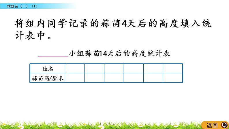 6.2《栽蒜苗（一）（1）》PPT课件 北师大版数学四下05