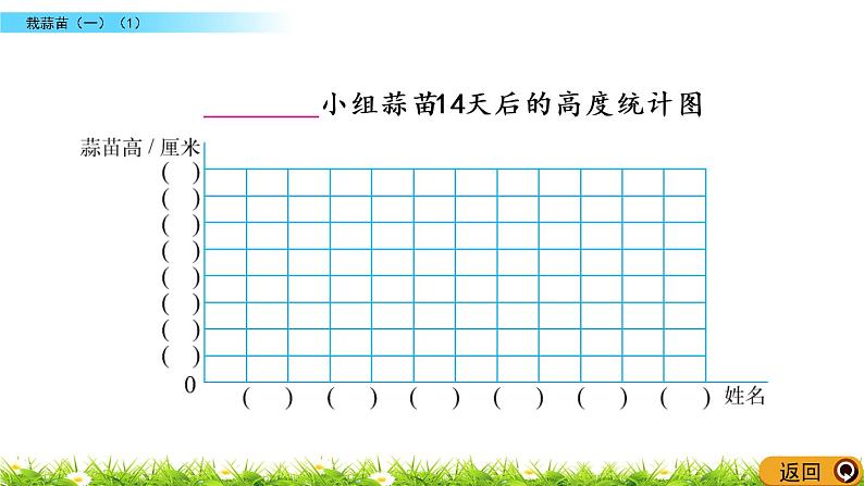 6.2《栽蒜苗（一）（1）》PPT课件 北师大版数学四下07