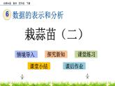 6.4《栽蒜苗（二）》PPT课件 北师大版数学四下