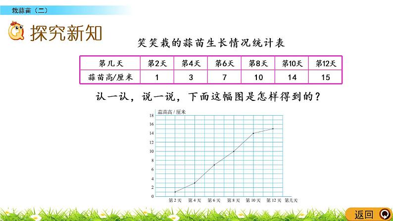 6.4《栽蒜苗（二）》PPT课件 北师大版数学四下04