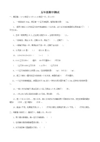 期中测试卷B（含答案）冀教版数学五下