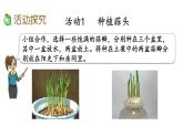 2021春苏教版数学五年级下册第二单元 折线统计图（课件）2.4 蒜叶的生长