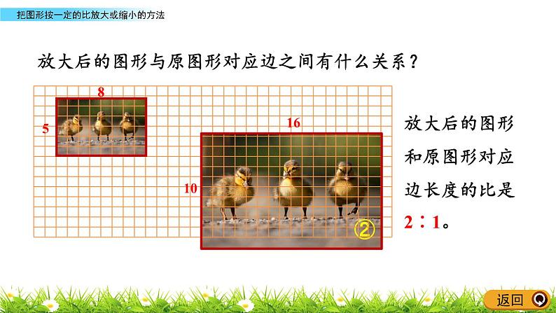 4.4《把图形按一定的比放大或缩小的方法》PPT课件 青岛版（六三制）版 六年级数学下册04