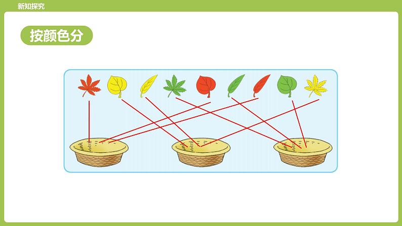 苏教版一上第3单元《分一分》 课件06