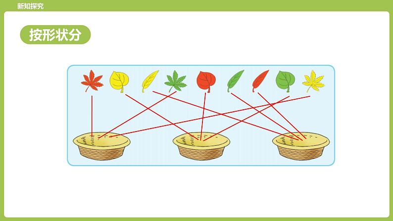 苏教版一上第3单元《分一分》 课件07