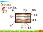 1.6《认识算盘》PPT课件 西师大版 二年级数学下册