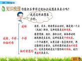 7.3《旋转、平移和轴对称》PPT课件 西师大版 三年级数学下册