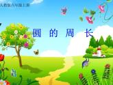 六年级数学上册课件-5.2 圆的周长8-人教版(共19张PPT)