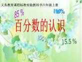六年级数学上册课件-6. 百分数的认识84-人教版(共17张PPT)