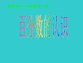 六年级数学上册课件-6. 百分数的认识-人教版(共17张PPT)