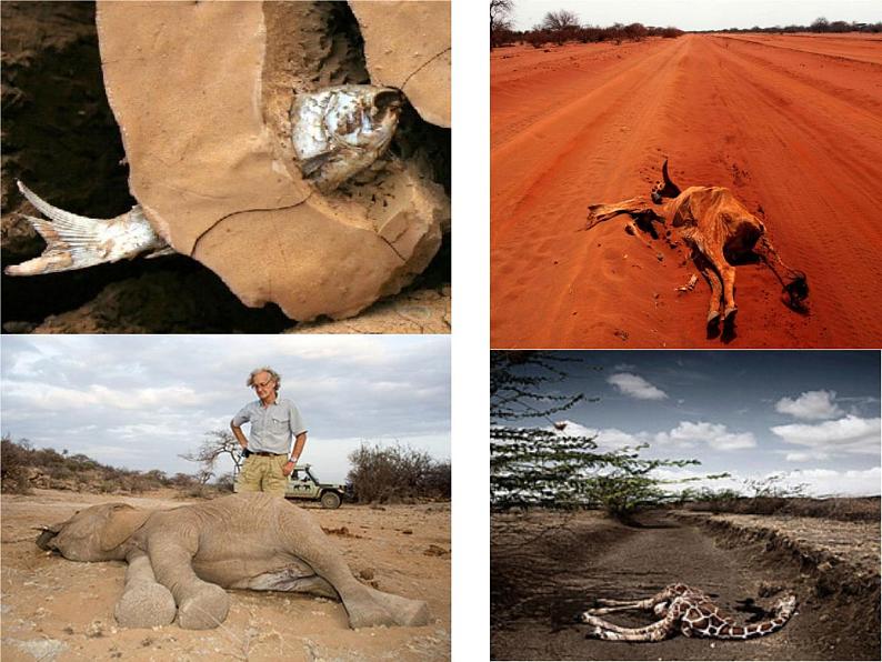 六年级数学上册课件-节约用水4-人教版(共21张PPT)05