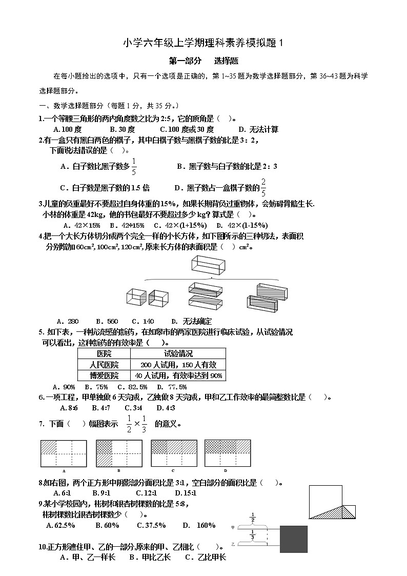 苏教版六上数学数学六上期末素质模拟1第1页