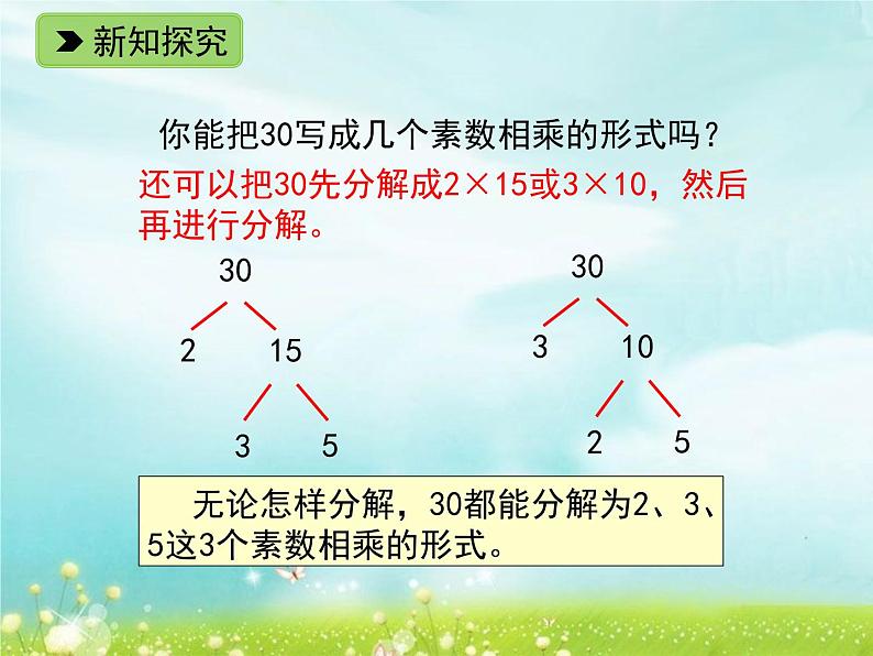 浙教版四年级下册数学课件-1.8  分解素因数 (共11张PPT)课件04