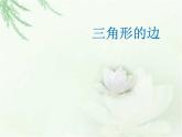 浙教版四年级下册数学课件-4.19三角形的边  (共15张PPT)课件