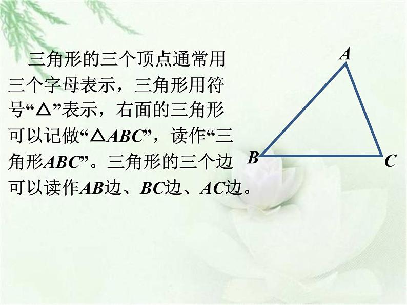 浙教版四年级下册数学课件-4.19三角形的边  (共15张PPT)课件第3页