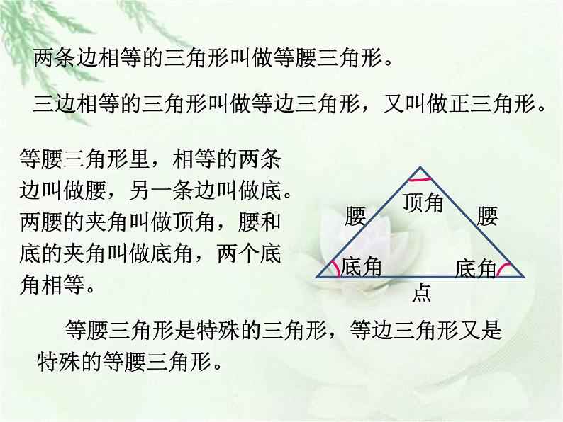 浙教版四年级下册数学课件-4.19三角形的边  (共15张PPT)课件第5页