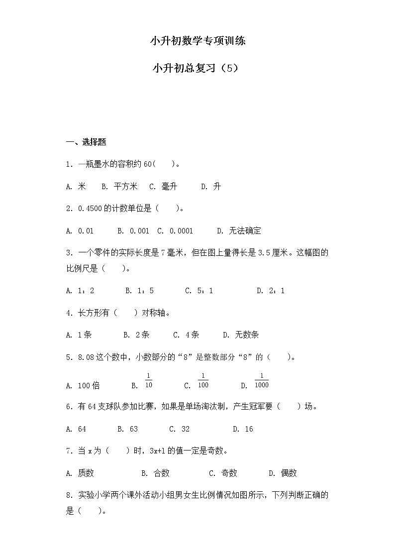 小升初数学知识专项训练-总复习（5）（28页）试卷01
