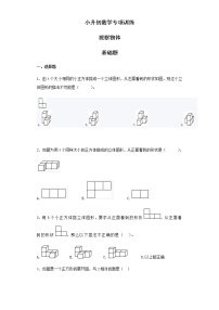 小升初数学知识专项训练（空间与图形）- 11观察物体（19页）试卷