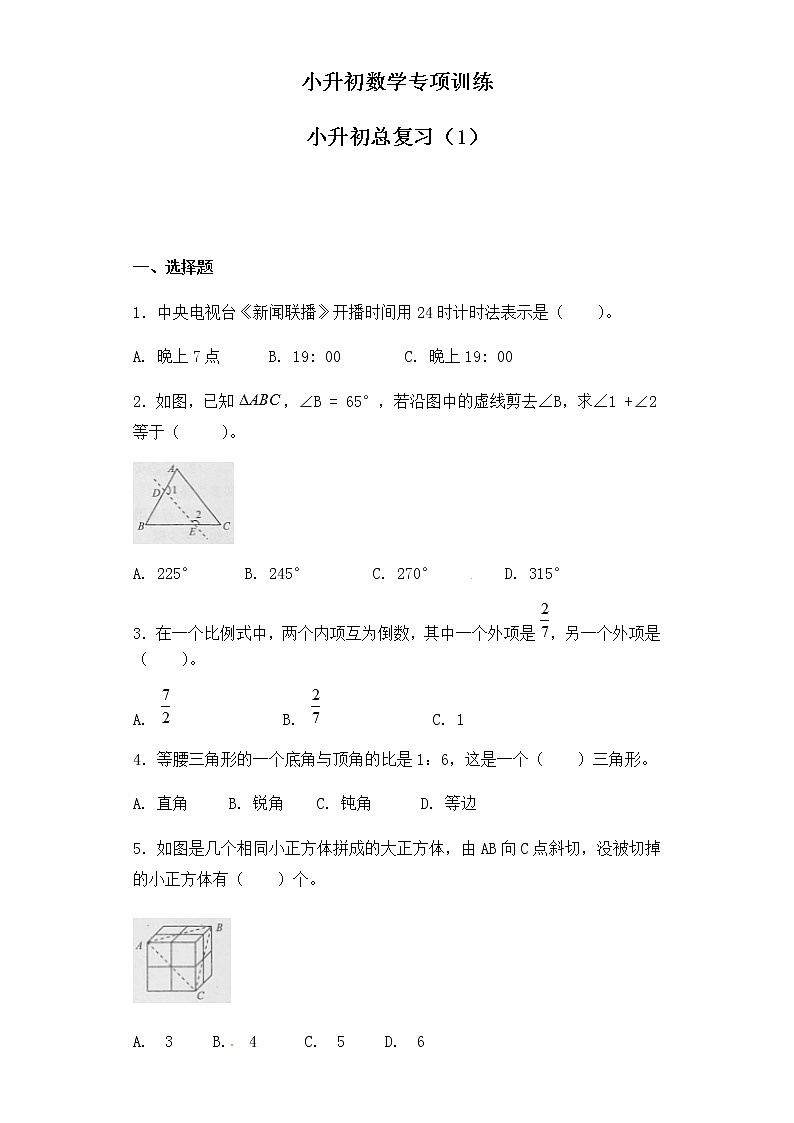 小升初数学知识专项训练-总复习（1）（25页）01