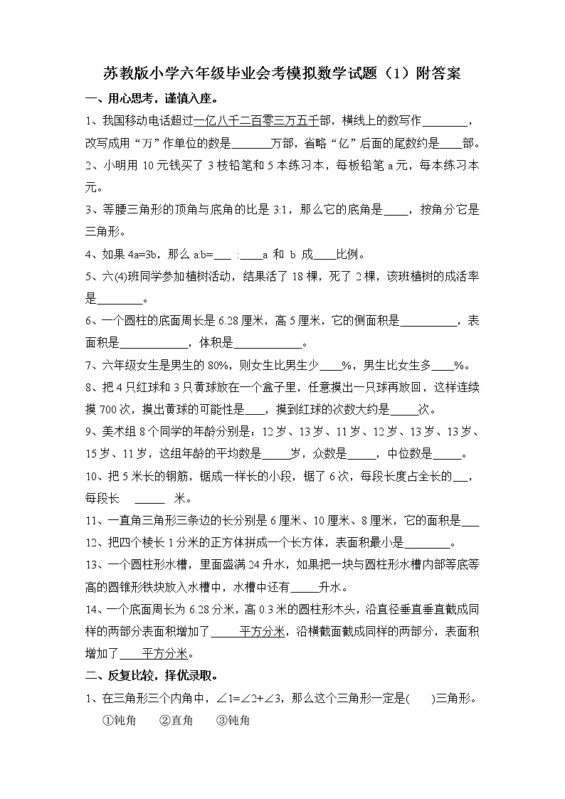 通用版数学六年级下册苏教版小学六年级毕业会考模拟数学试题（1）附答案01