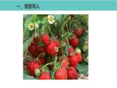 人教版二年级数学下册第6单元余数的除法第1课优质教学课件