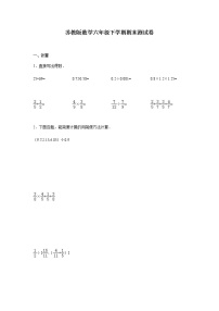 苏教版数学六年级下学期期末测试卷2（含答案）