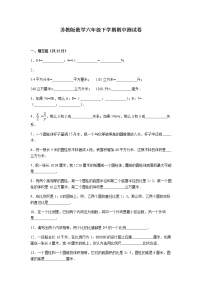 苏教版数学六年级下学期期中测试卷9（含答案解析）