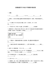 苏教版数学六年级下学期期中测试卷11（含答案解析）