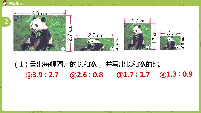 苏教版六年级数学下册 .总复习·数与代数课时13(PPT课件）08