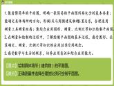 苏教版六年级数学下册 总复习·绘制平面图(PPT课件）