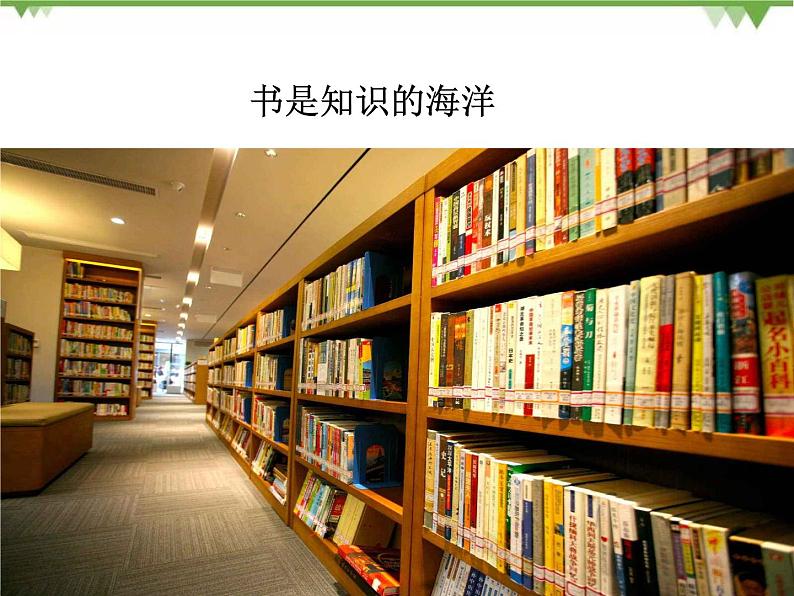 二年级下册数学课件-5.4 小小图书馆北 师大版 课件 (共25张PPT)第3页