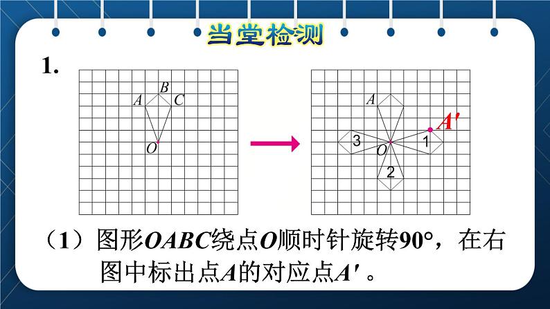 人教版五年级数学下册  第5单元 图形的运动（三）第2课时  在方格纸上画出旋转后的图形 (课件)08