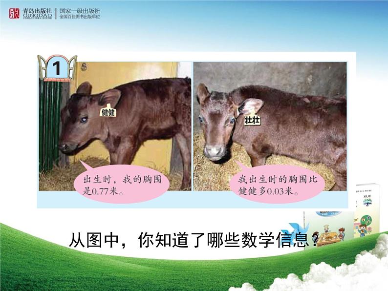 《小数加减法（信息窗1）》教学课件1第3页