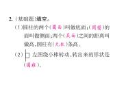 人教版六年级下册数学1. 第一课时 圆柱 圆柱的认识 课件