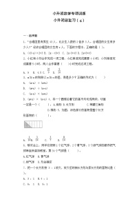 【含详细解析】小升初数学知识专项训练-总复习（6）