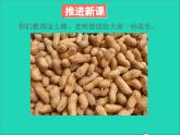 北師大版一年級數(shù)學(xué)下冊三生活中的數(shù)課件