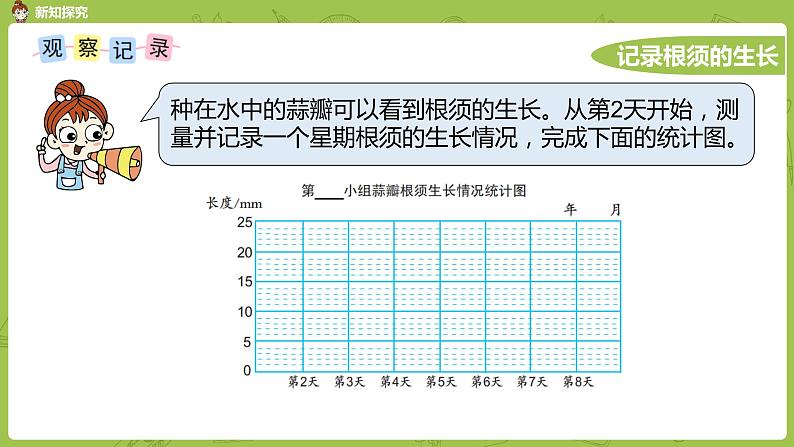 苏教版五年级数学下册 蒜叶的生长（PPT课件）06