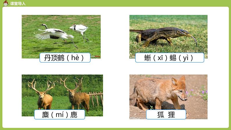 人教版三年级上册 第4单元 课时1 加法1课件03