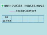 栽蒜苗（一）PPT课件免费下载