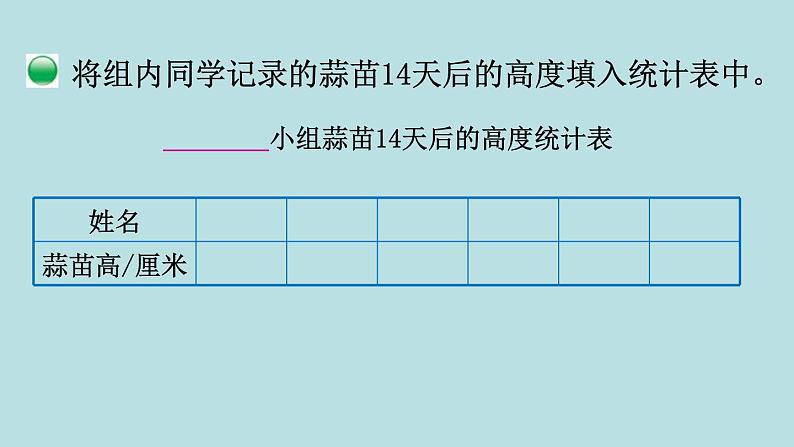 栽蒜苗（一）PPT课件免费下载04