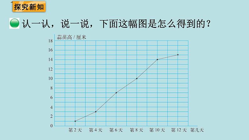 栽蒜苗（二）PPT课件免费下载03