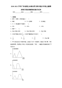 2020-2021学年广东省湛江市坡头区北师大版六年级上册期末教学质量调研测试数学试卷（word版 含答案）